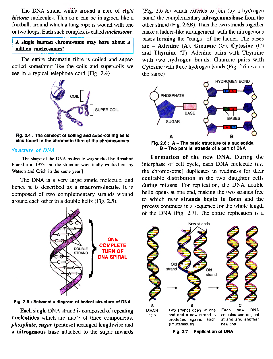 Selina ICSE Solutions Class-10th Biology - Page 5