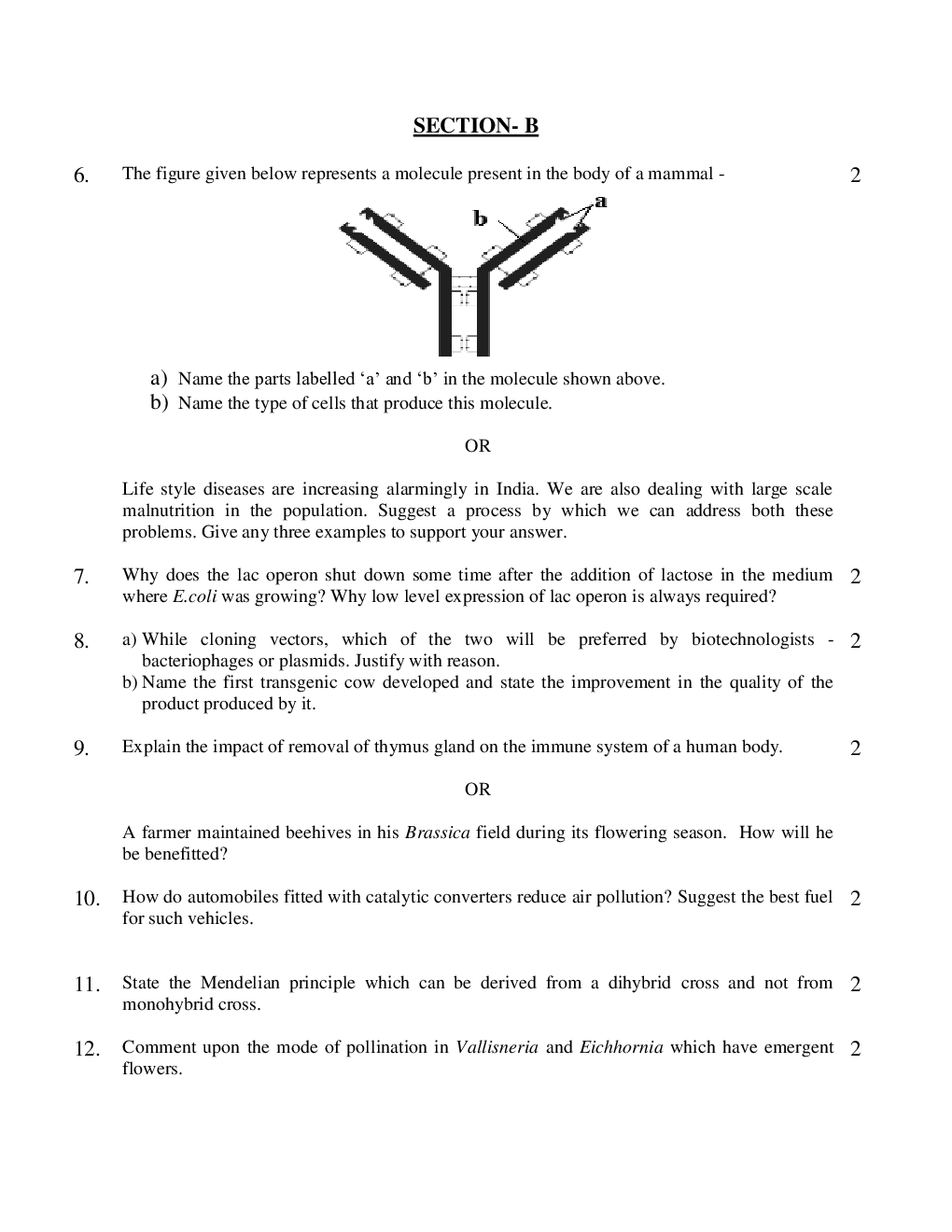 CBSE Class-12th Biology Term-II Sample PaperS - Page 4