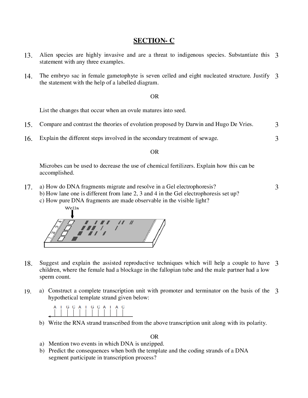 CBSE Class-12th Biology Term-II Sample PaperS - Page 5