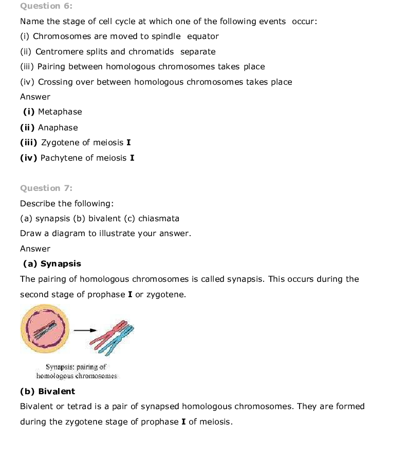 CBSE Class-11th Biology Term-II Exemplar - Page 5