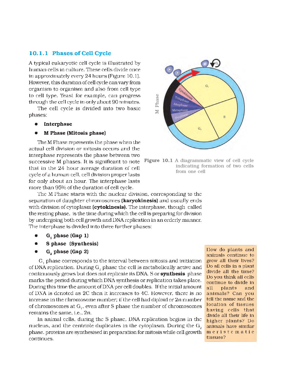 CBSE Class-11th Biology Term-II Study Material - Page 4