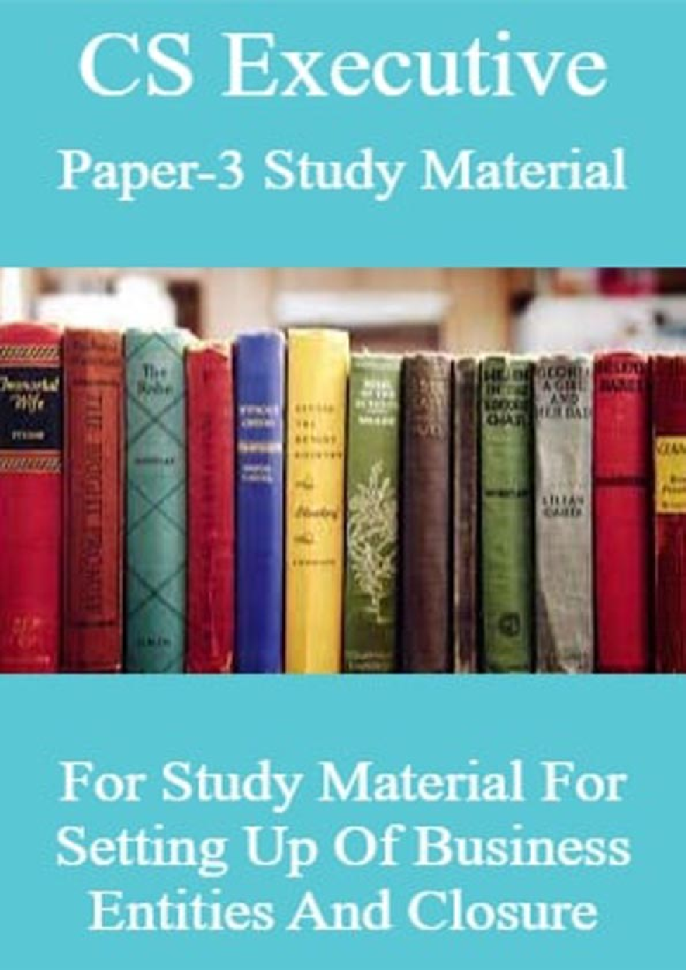 CS Executive Paper-3 Study Material For Setting Up Of Business Entities And Closure - Page 1