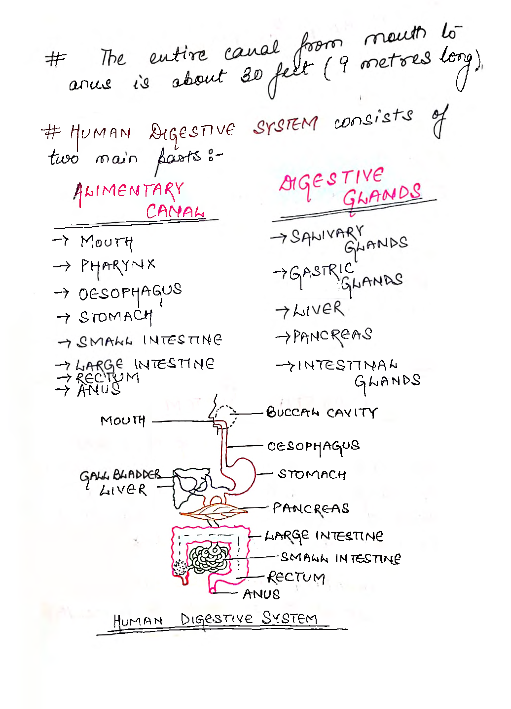 UPSC Hand Written Notes Biology - Page 3