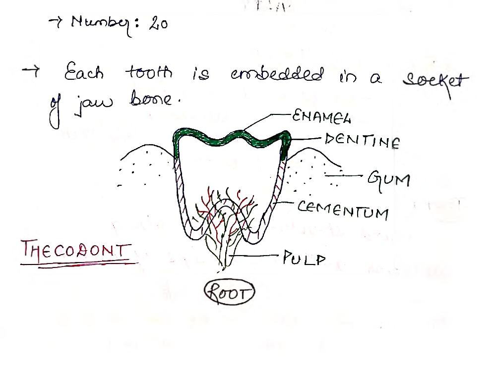 UPSC Hand Written Notes Biology - Page 5
