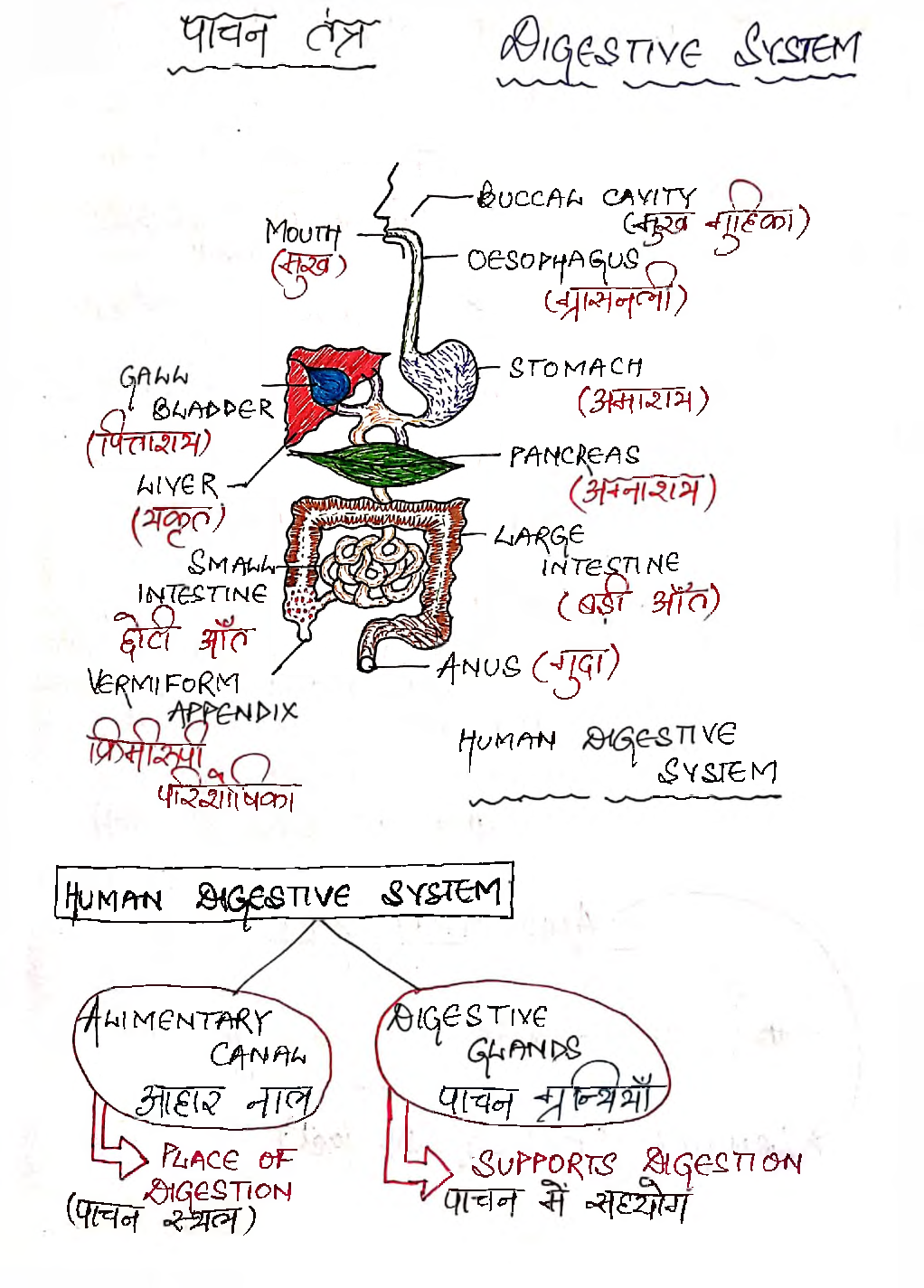 UPSC Hand Written Notes Biology in Hindi - Page 2