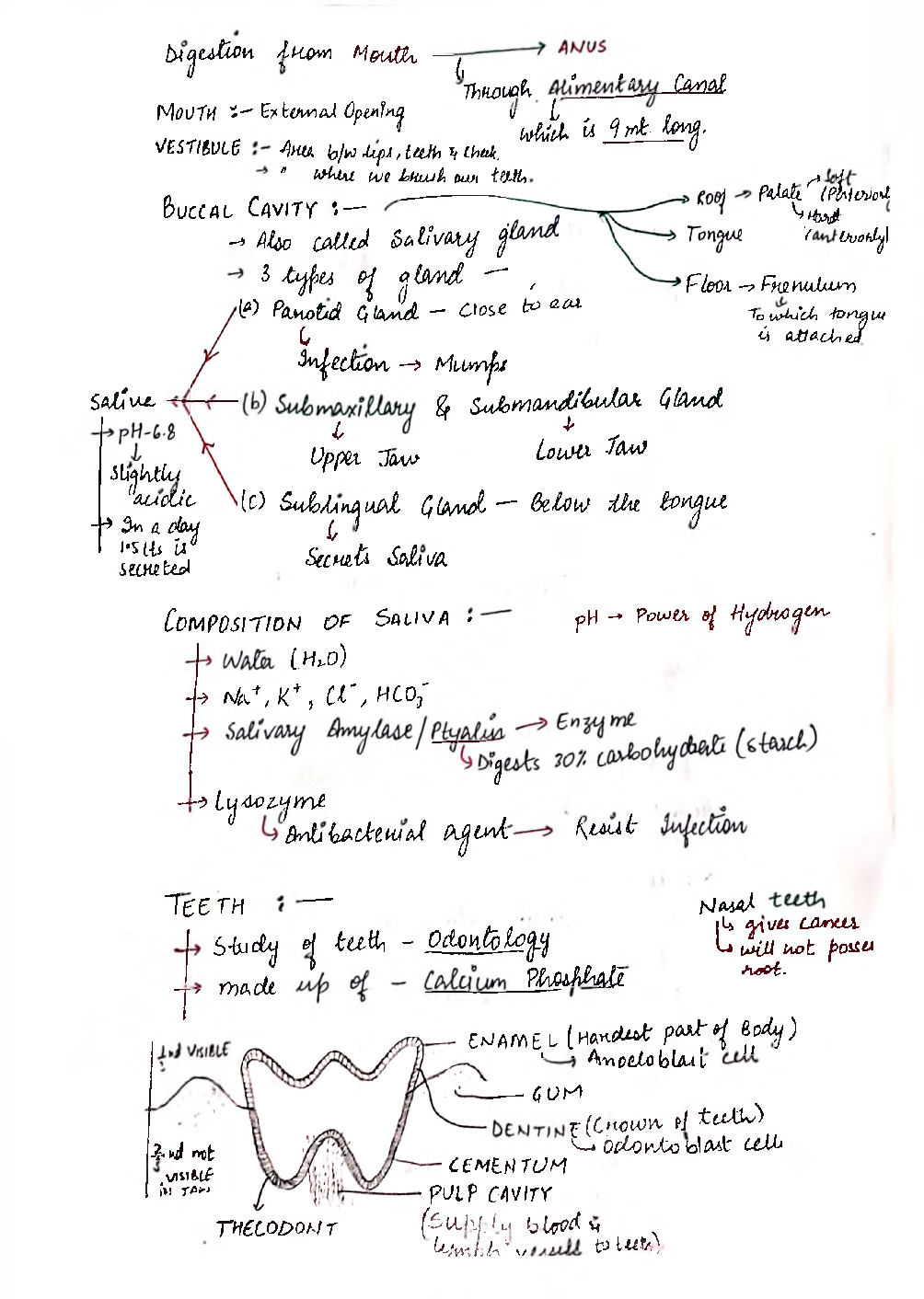 UPSC Hand Written Notes Human Physiology - Page 3