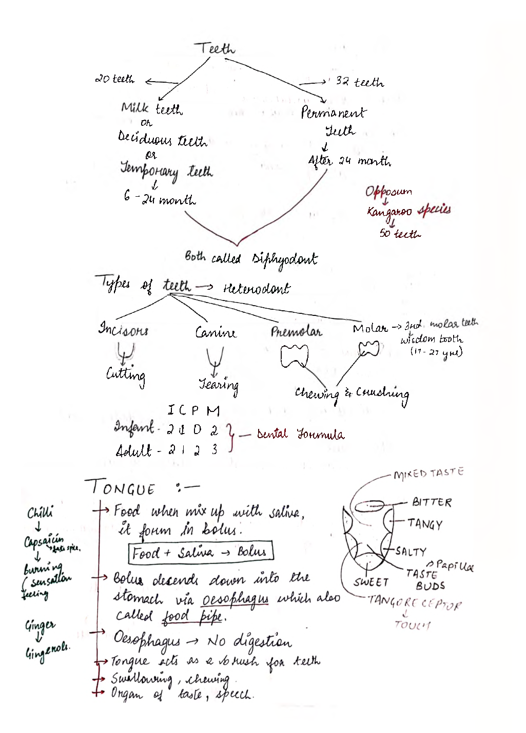 UPSC Hand Written Notes Human Physiology - Page 4