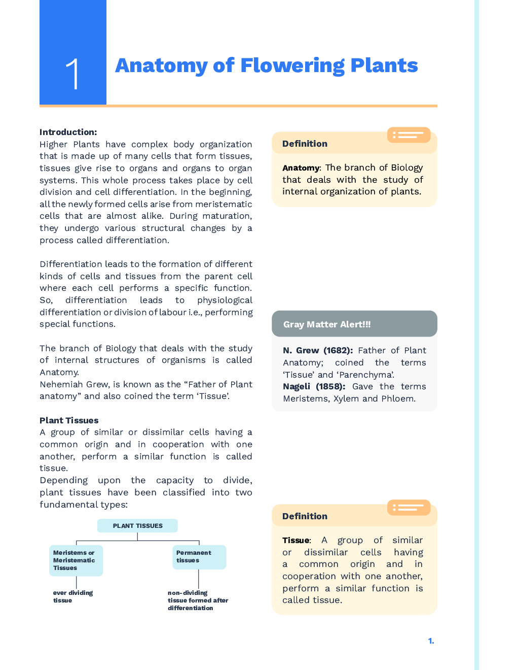 Study Notes for NEET Biology Anatomy Of Flowering Plants 2023 - Page 2
