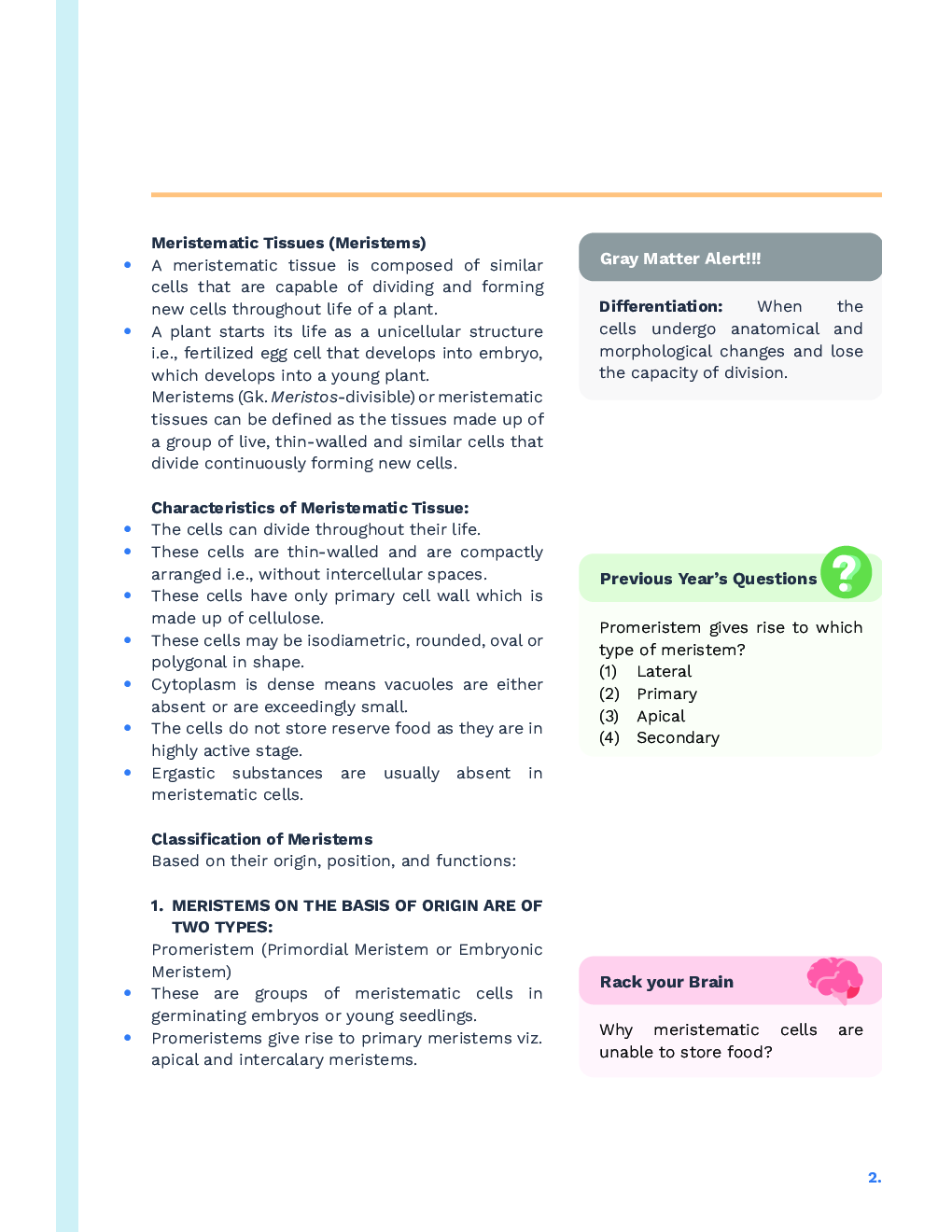 Study Notes for NEET Biology Anatomy Of Flowering Plants 2023 - Page 3