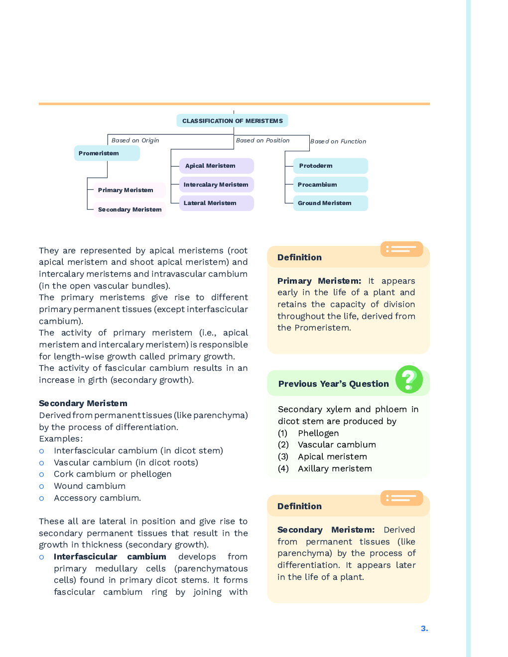 Study Notes for NEET Biology Anatomy Of Flowering Plants 2023 - Page 4