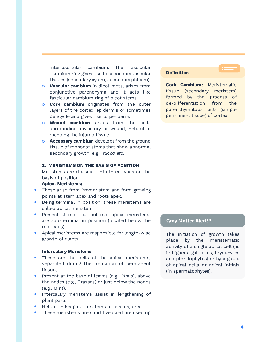 Study Notes for NEET Biology Anatomy Of Flowering Plants 2023 - Page 5