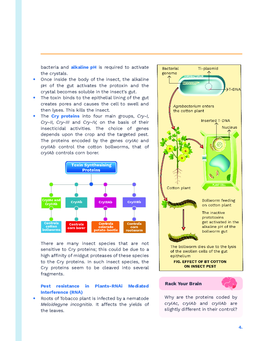 Study Notes for NEET Biology Biotechnology And Its Applications 2023 - Page 5