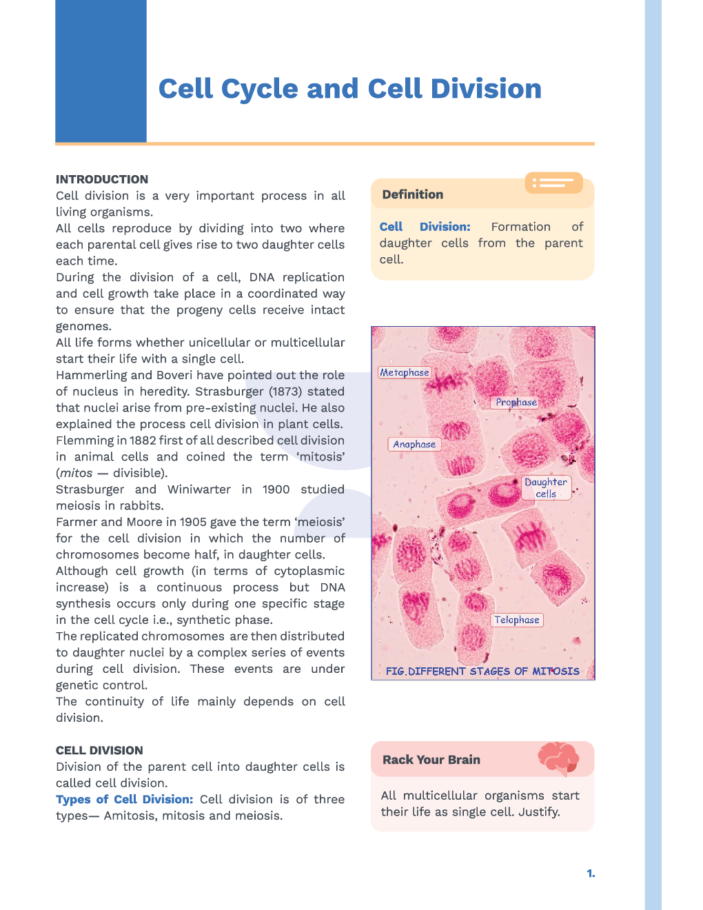 Study Notes for NEET Biology Cell Cycle And Cell Division 2023 - Page 2