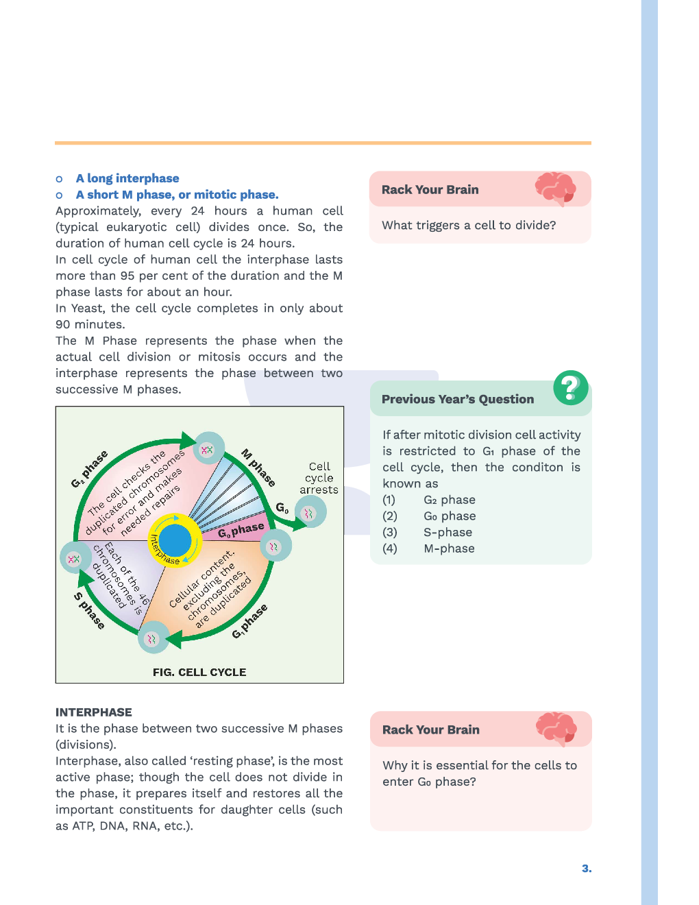 Study Notes for NEET Biology Cell Cycle And Cell Division 2023 - Page 4
