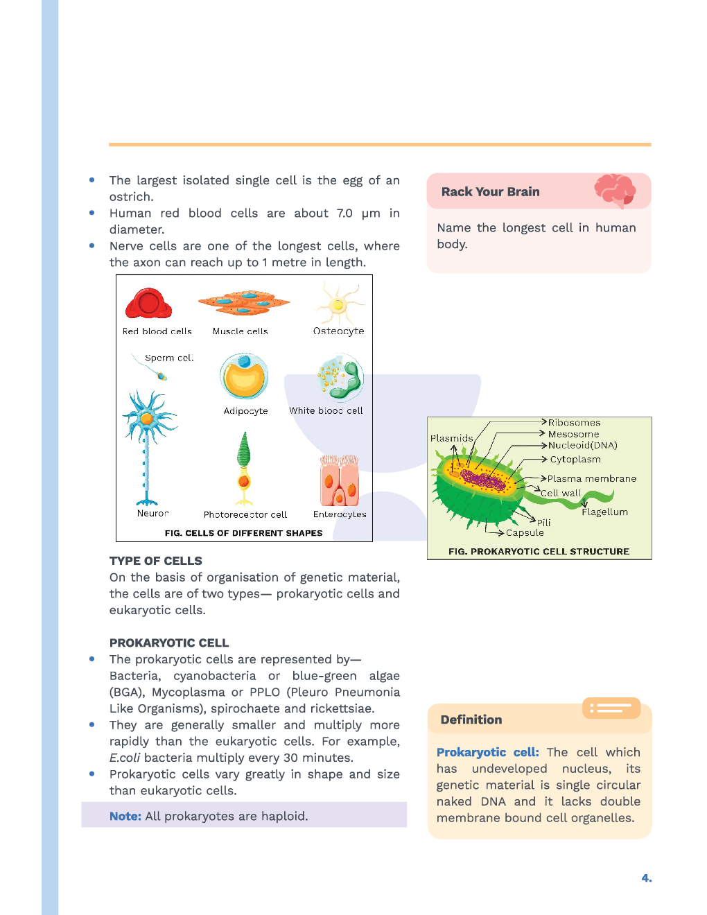 Study Notes for NEET Biology Cell The Unit Of Life 2023 - Page 5
