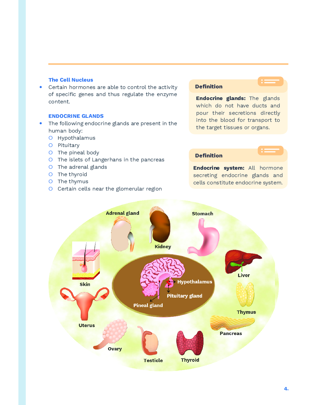 Study Notes for NEET Biology Chemical Coordination And Integration 2023 - Page 5