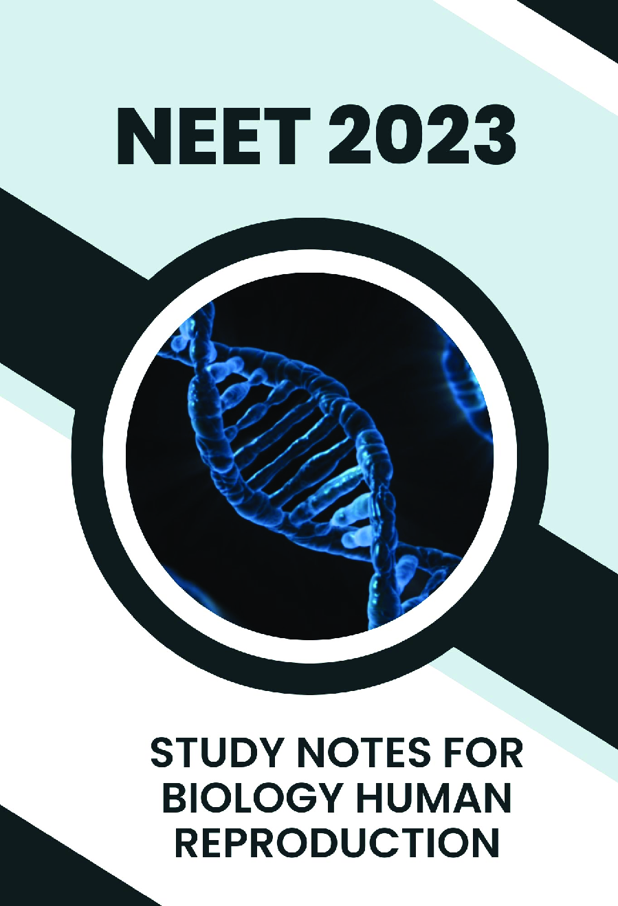 Study Notes for NEET Biology Human Reproduction 2023 - Page 1