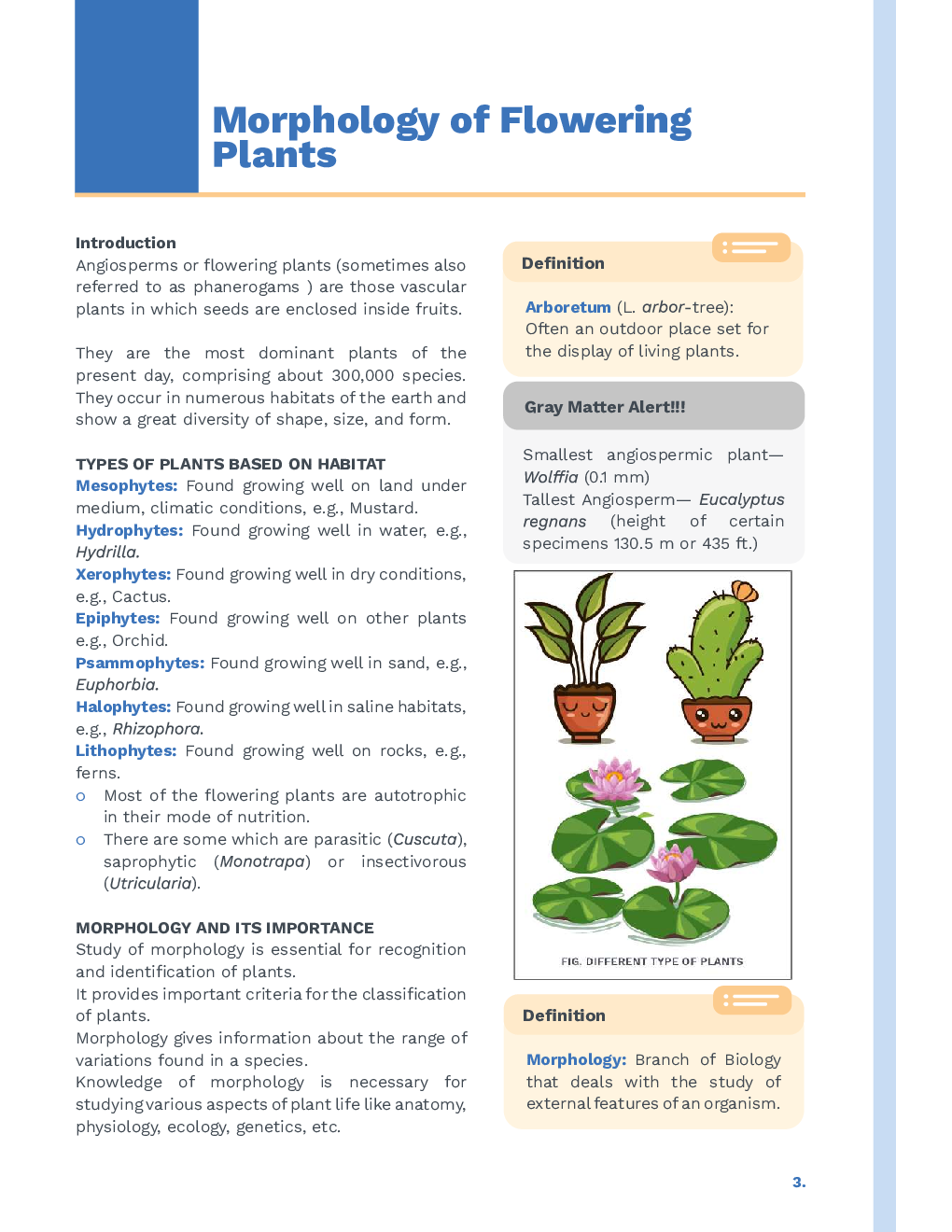 Study Notes for NEET Biology Morphology Of Flowering Plants 2023 - Page 2