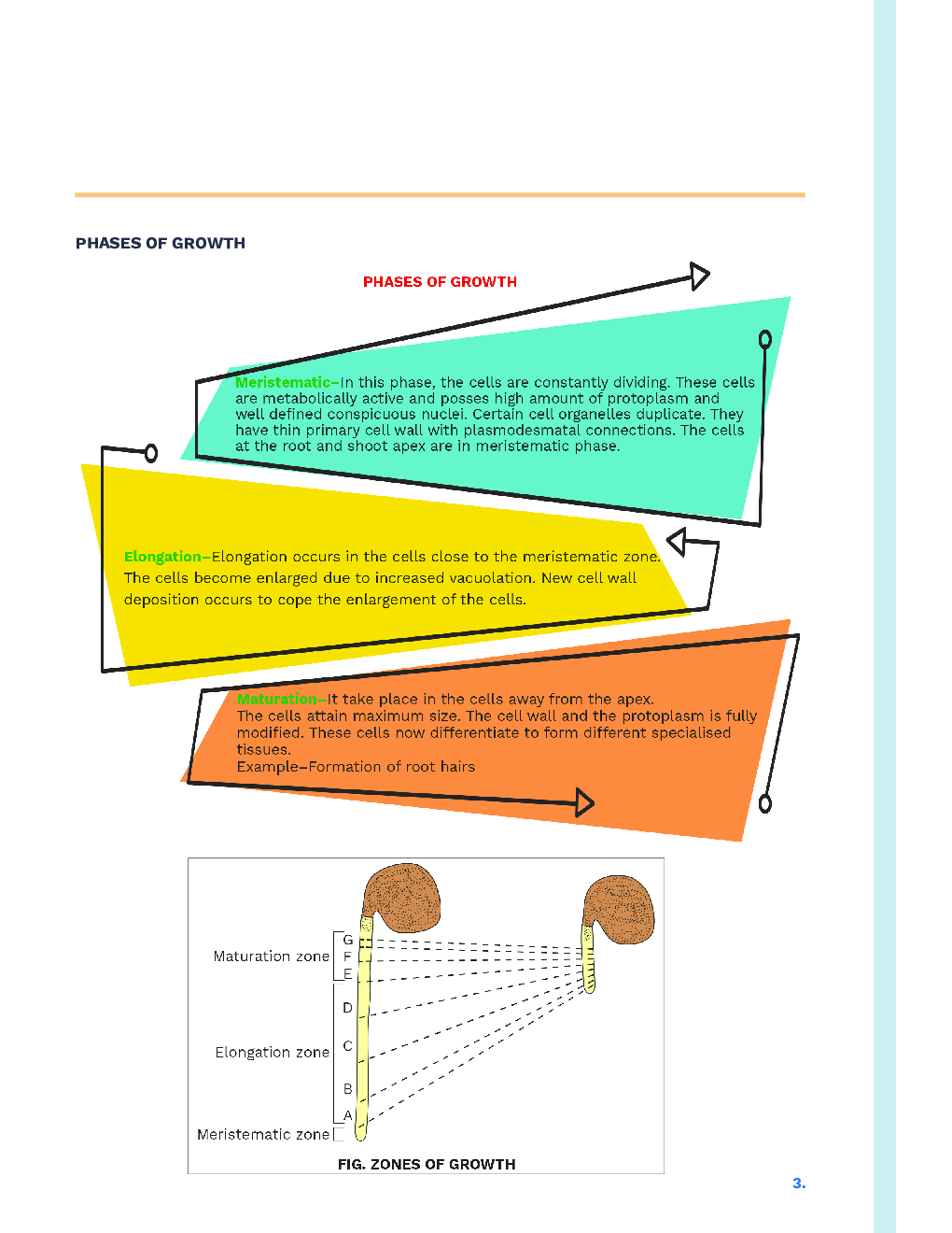 Study Notes for NEET Biology Plant Growth And Development 2023 - Page 4