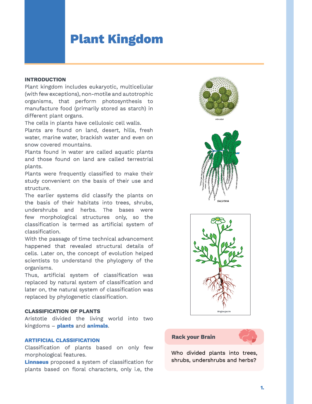 Study Notes for NEET Biology Plant Kingdom 2023 - Page 2