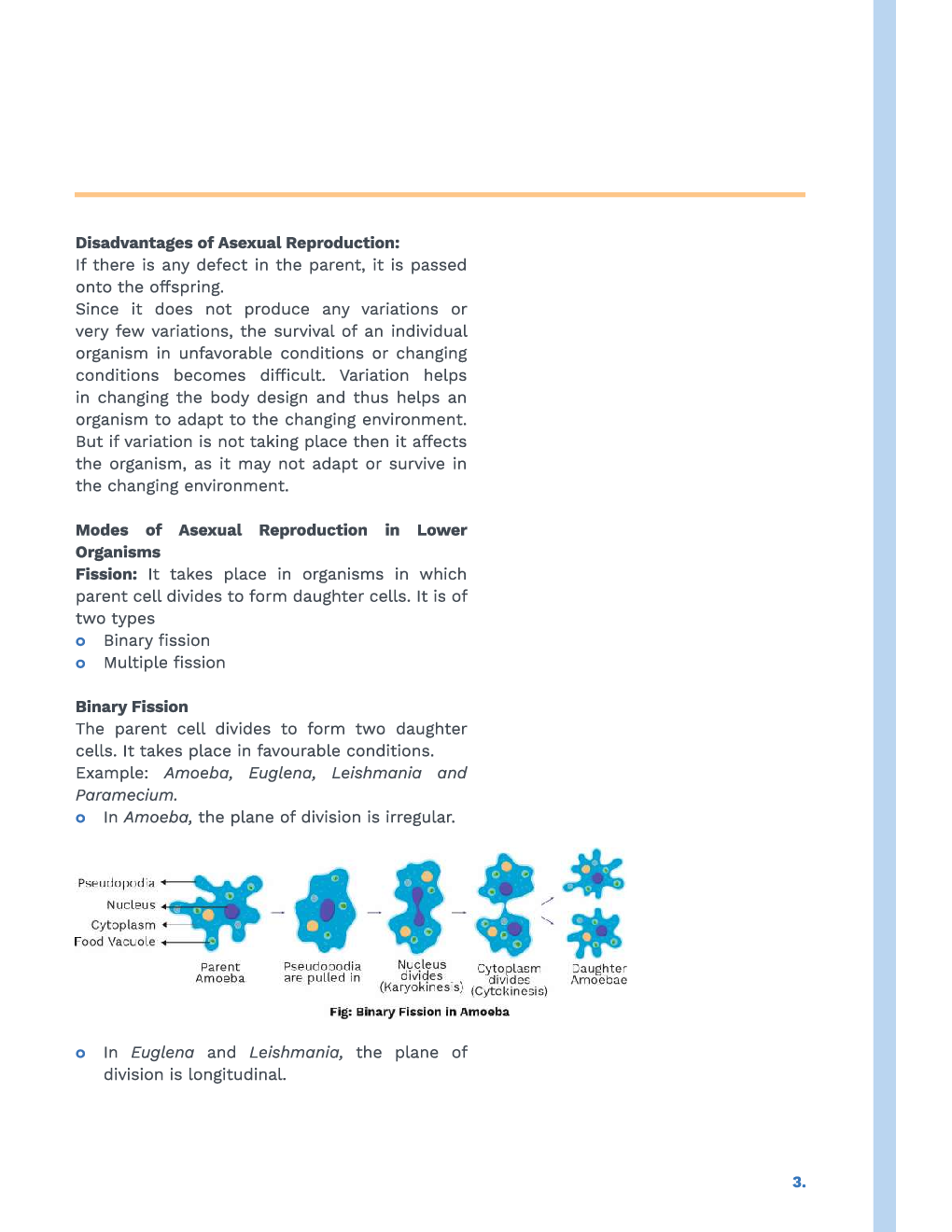 Study Notes for NEET Biology Reproduction In Organisms 2023 - Page 4