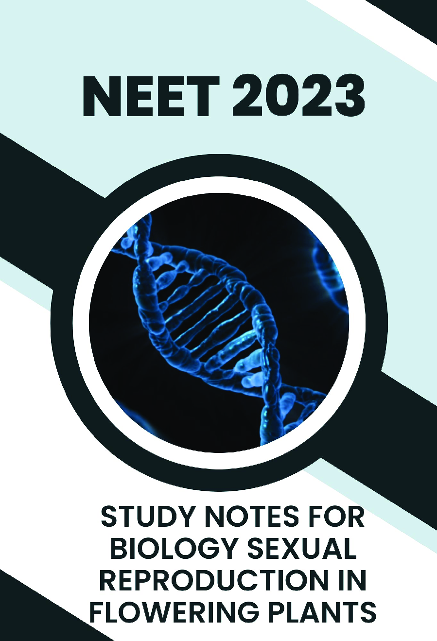Study Notes for NEET Biology Sexual Reproduction In Flowering Plants 2023 - Page 1