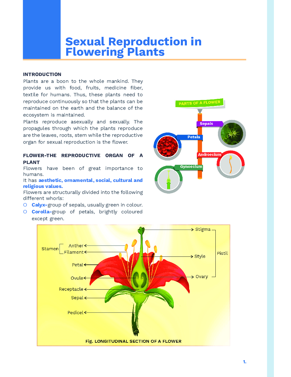 Study Notes for NEET Biology Sexual Reproduction In Flowering Plants 2023 - Page 2