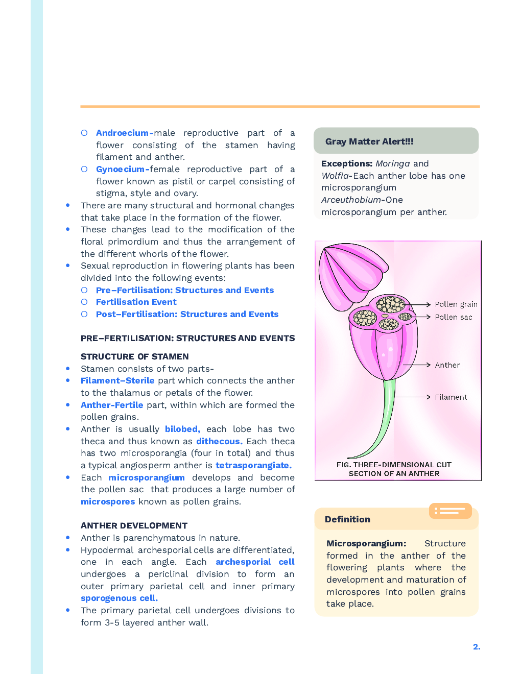 Study Notes for NEET Biology Sexual Reproduction In Flowering Plants 2023 - Page 3