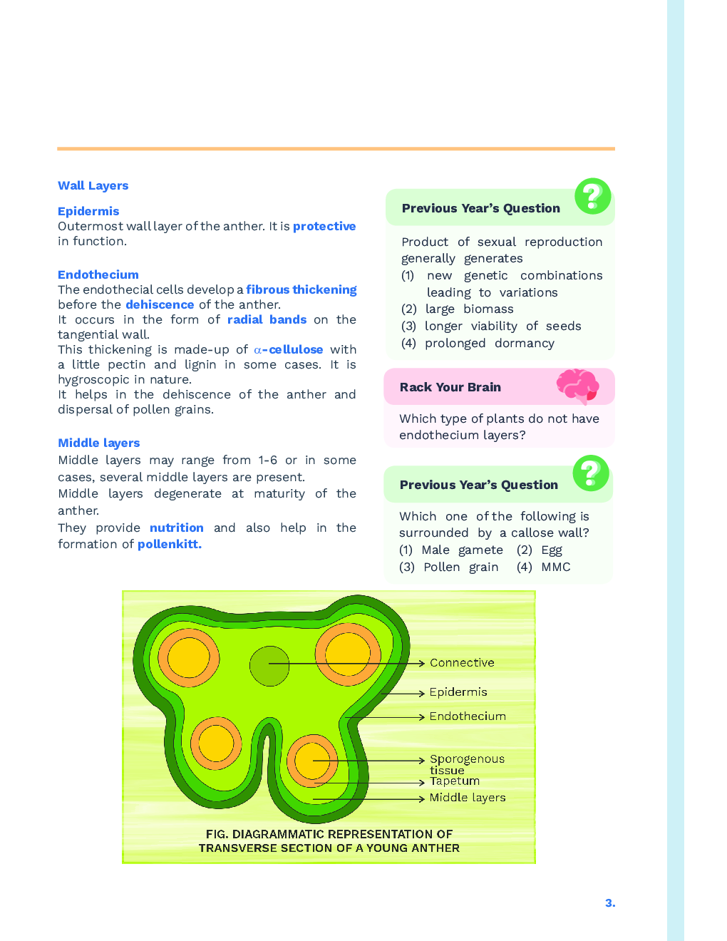 Study Notes for NEET Biology Sexual Reproduction In Flowering Plants 2023 - Page 4