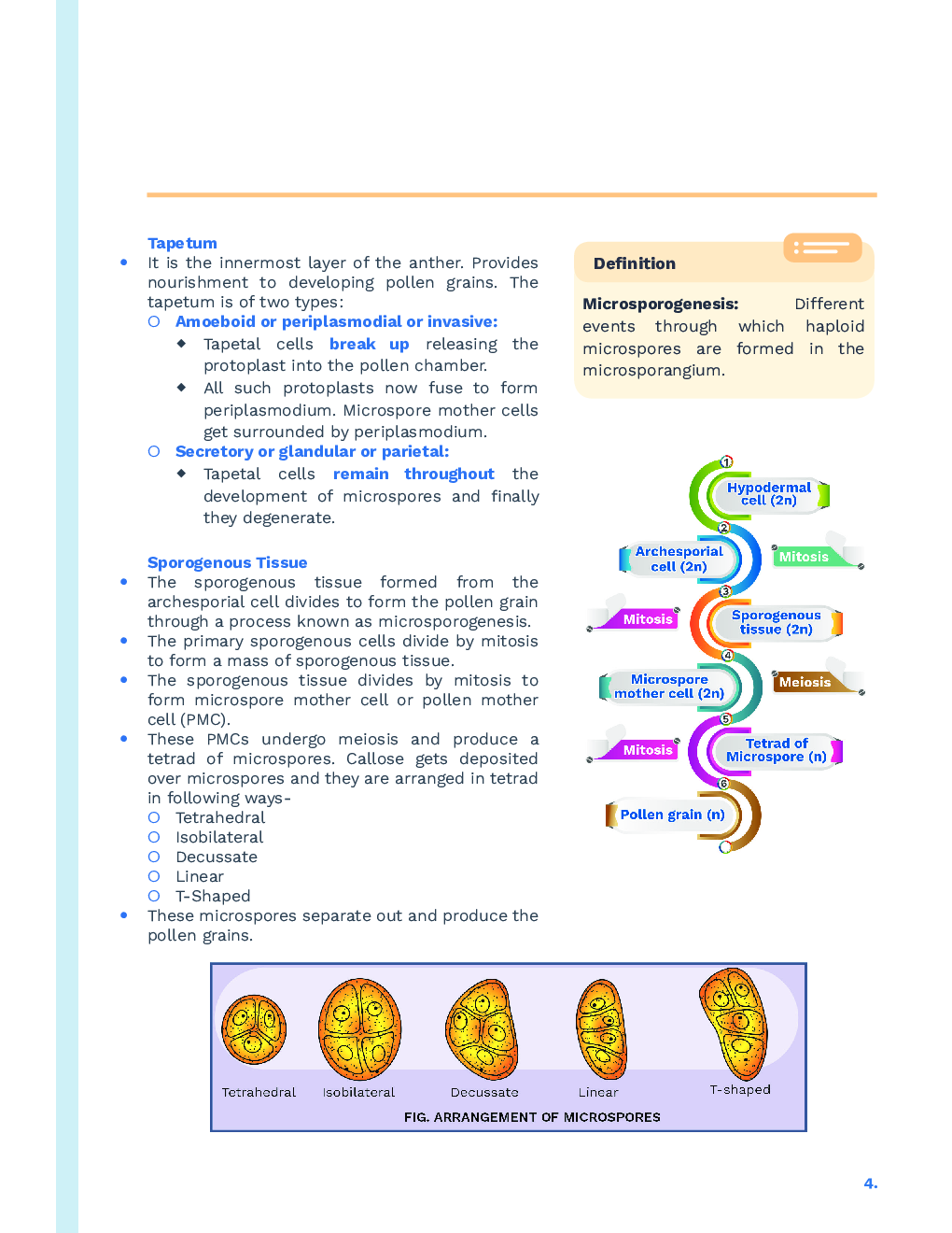 Study Notes for NEET Biology Sexual Reproduction In Flowering Plants 2023 - Page 5