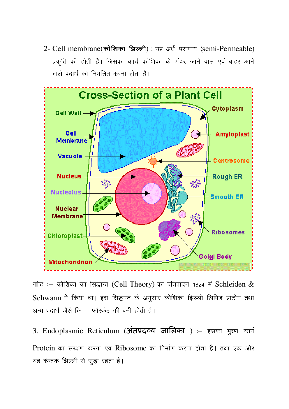 Botany Exam kit For IAS Exam - Page 3