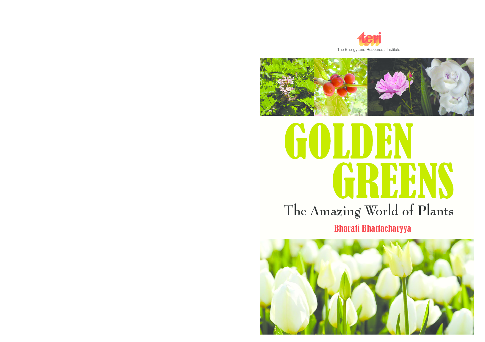 Golden Greens: the Amazing World of Plants - Page 1