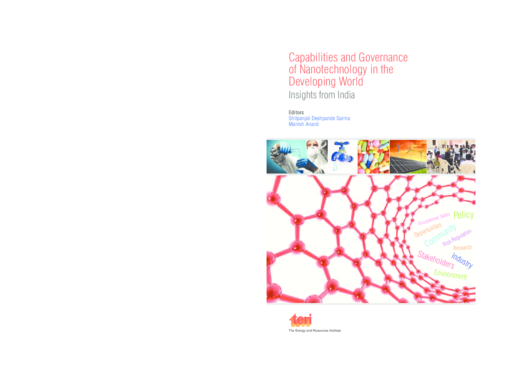 Capabilities and Governance of Nanotechnology in the Developing World: Insights from India - Page 1