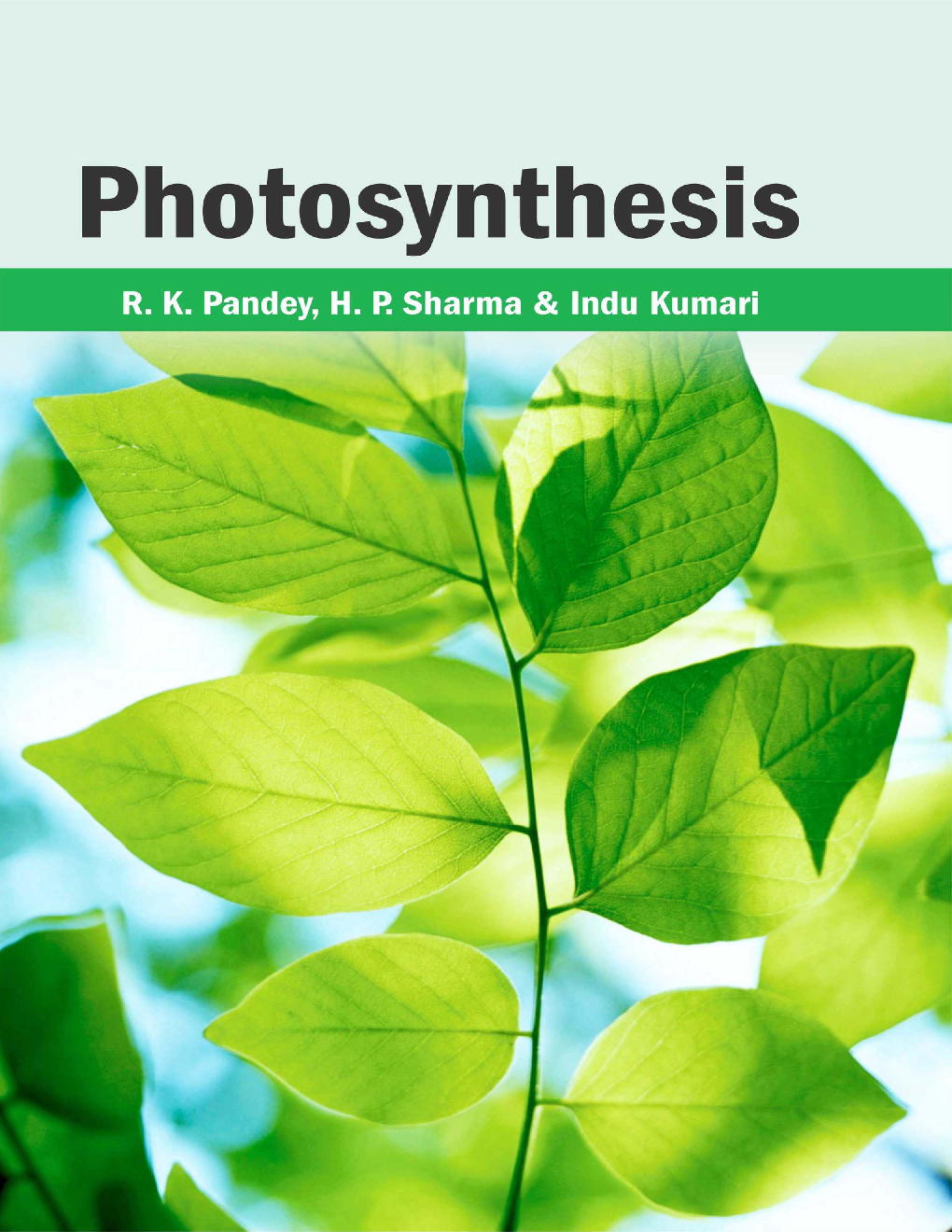 Photosynthesis - Page 1