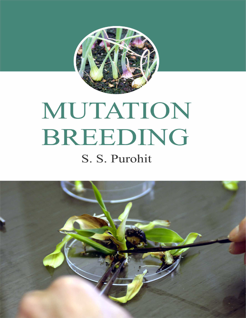 Mutation Breeding - Page 1