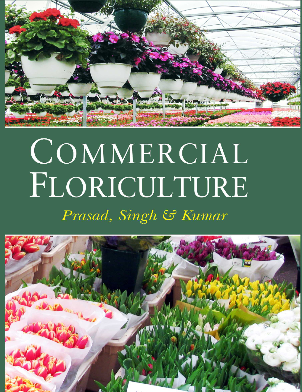 Commercial Floriculture - Page 1