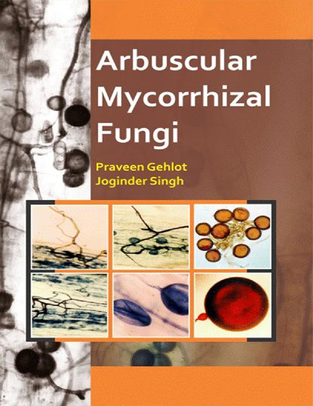 Arbuscular Mycorrhizal Fungi - Page 1