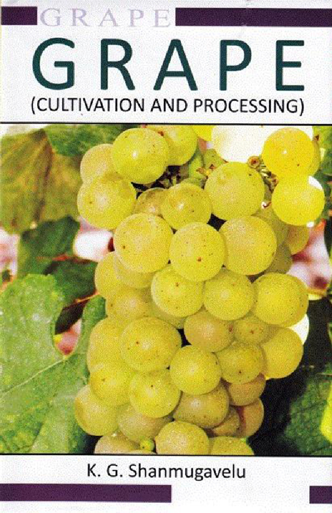 Grape Cultivation And Processing - Page 1