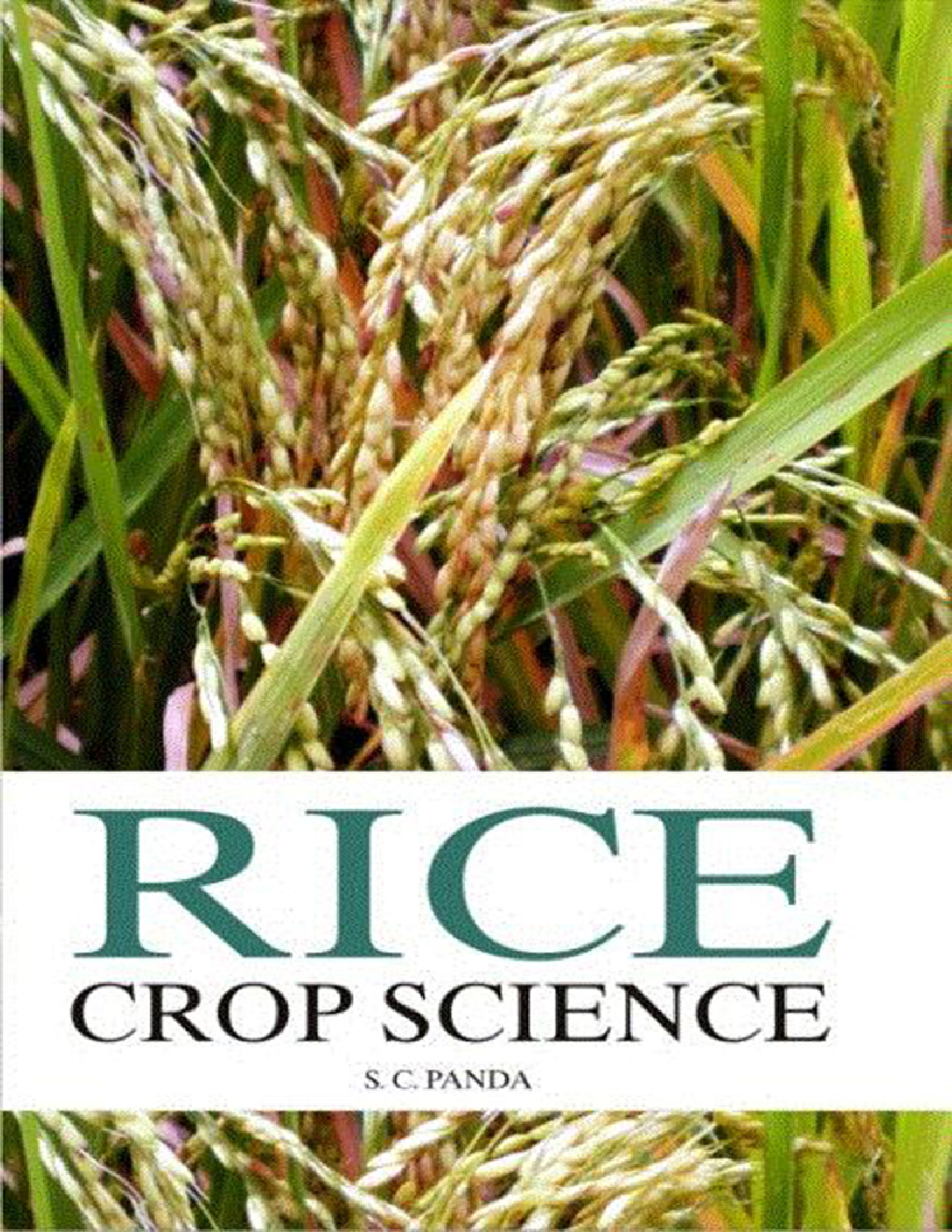 Rice Crop Science - Page 1