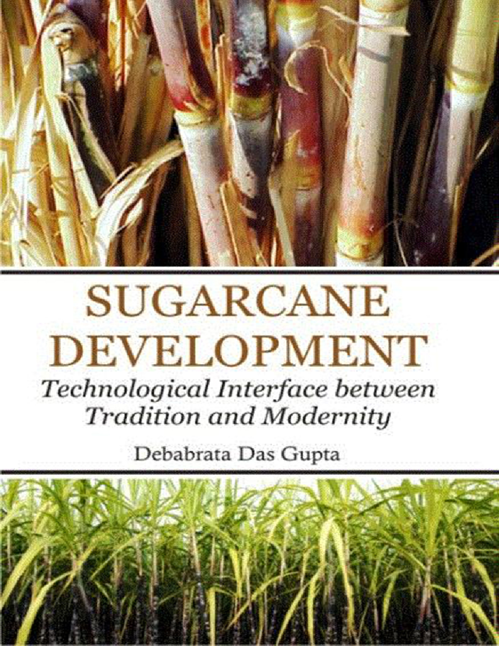 Sugarcane Development : Technological Interface between Tradition and Modernity - Page 1