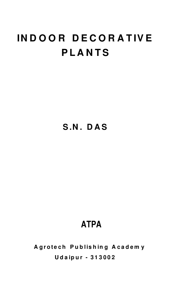 Indoor Decorative Plants - Page 2