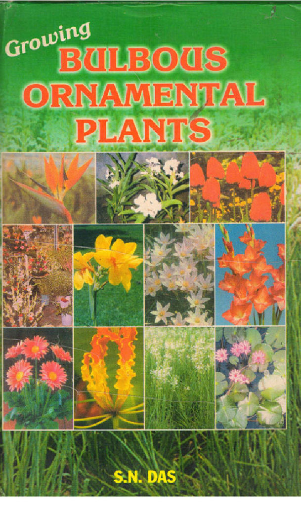 Growing Bulbous Ornamental Plants - Page 1
