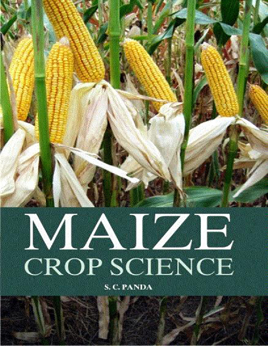 Maize Crop Science - Page 1