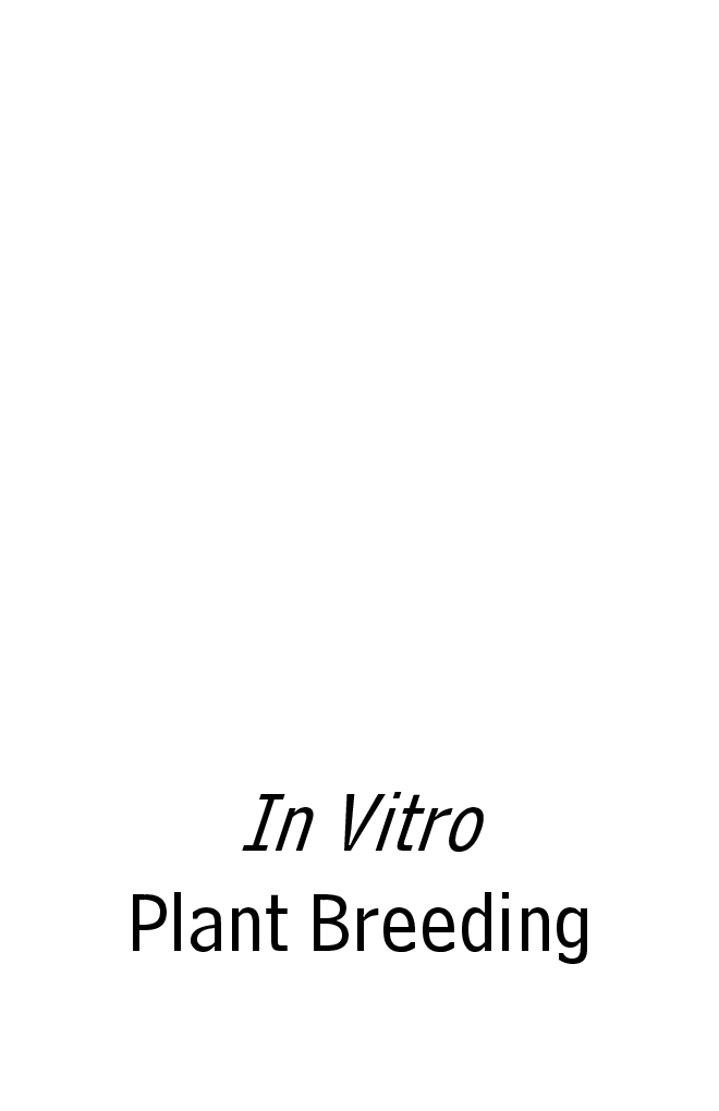 In Vitro Plant Breeding - Page 2