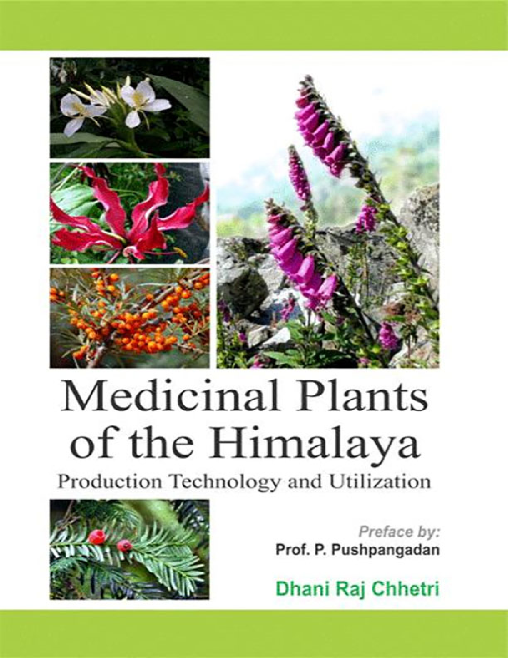 Medicinal Plants of The Himalaya: Production Technology and Utilization - Page 1