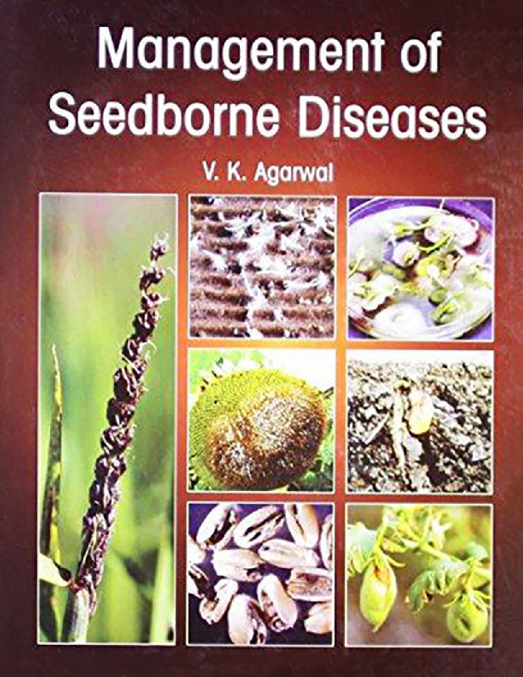 Management of Seedborne Diseases - Page 1
