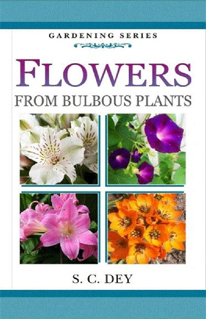 Flowers from Bulbous Plants - Page 1