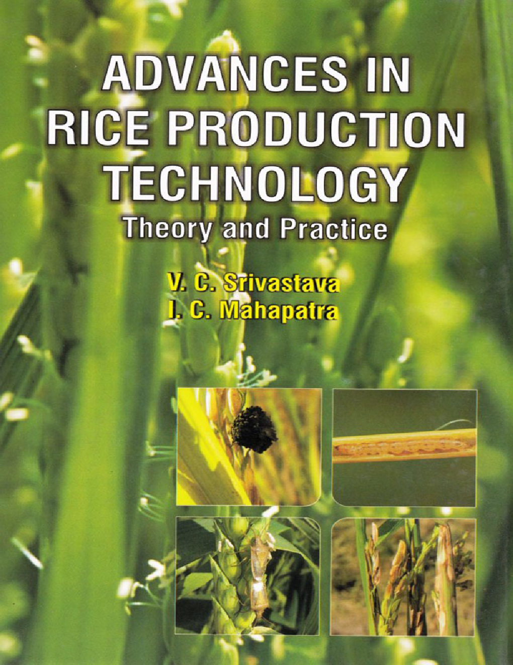 Advances in Rice Production Technology : Theory and Practice - Page 1