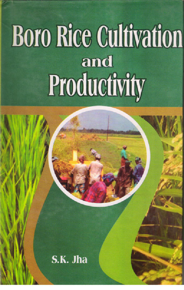 Boro Rice Cultivation and Productivity - Page 1