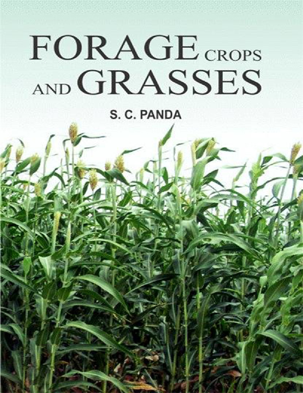 Forage Crops and Grasses - Page 1
